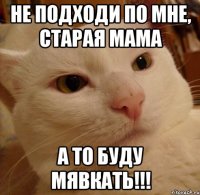 не подходи по мне, старая мама а то буду мявкать!!!