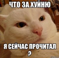 что за хуйню я сейчас прочитал ?