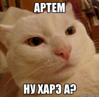 артем ну харэ а?