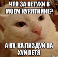 что за петухи в моем курятнике? а ну-ка пиздуй на хуй петя