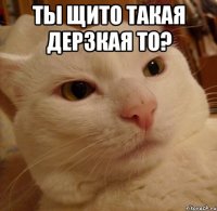 ты щито такая дерзкая то? 