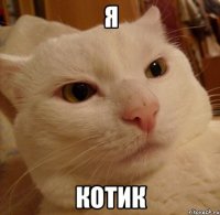 я котик