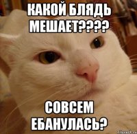 какой блядь мешает??? совсем ебанулась?