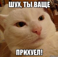 шух, ты ваще прихуел!