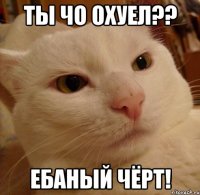 ты чо охуел?? ебаный чёрт!