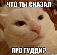 что ты сказал про гудди?