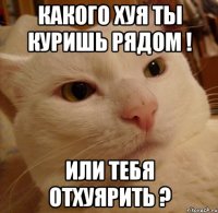 какого хуя ты куришь рядом ! или тебя отхуярить ?