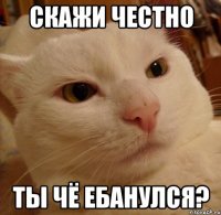 скажи честно ты чё ебанулся?