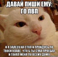 давай пиши ему: го пвп и я залезу на стол и пройдусь по твоей клаве , что б ты сука проебал и ганял меня по всему дому