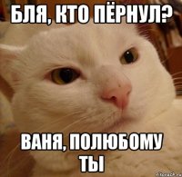 бля, кто пёрнул? ваня, полюбому ты