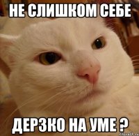 не слишком себе дерзко на уме ?