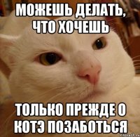 можешь делать, что хочешь только прежде о котэ позаботься