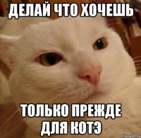 делай что хочешь только прежде для котэ