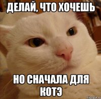 делай, что хочешь но сначала для котэ