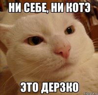 ни себе, ни котэ это дерзко