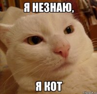 я незнаю, я кот