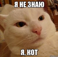 я не знаю я, кот