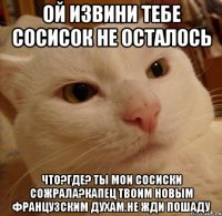 ой извини тебе сосисок не осталось что?где? ты мои сосиски сожрала?капец твоим новым французским духам.не жди пошаду