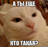 а ты еще кто такая?