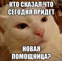 кто сказал что сегодня придет новая помощница?