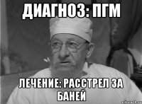 диагноз: пгм лечение: расстрел за баней