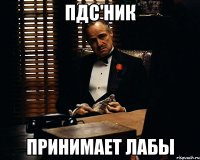 пдс'ник принимает лабы