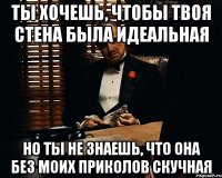 ты хочешь, чтобы твоя стена была идеальная но ты не знаешь, что она без моих приколов скучная