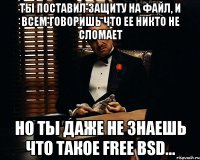 ты поставил защиту на файл, и всем говоришь что ее никто не сломает но ты даже не знаешь что такое free bsd...