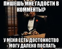 пишешь мне гадости в комменты? у меня есть достоинство - могу далеко послать