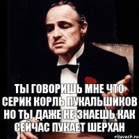 ты говоришь мне что Серик корль пукальшиков но ты даже не знаешь как сейчас пукает шерхан