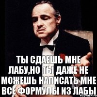 ты сдаешь мне лабу,но ты даже не можешь написать мне все формулы из лабы