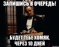 запишись в очередь! будет тебе хомяк, через 10 дней