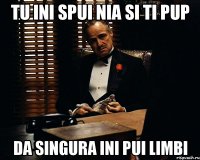 tu ini spui nia si ti pup da singura ini pui limbi