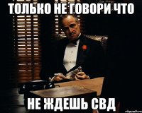 только не говори что не ждешь свд