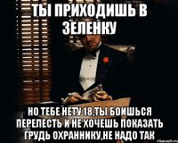 ты приходишь в зеленку но тебе нету 18,ты боишься перелесть и не хочешь показать грудь охраннику,не надо так