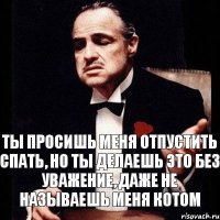 Ты просишь меня отпустить спать, но ты делаешь это без уважение, даже не называешь меня котом