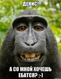 денис! а со мной хочешь ебатся? ;-)