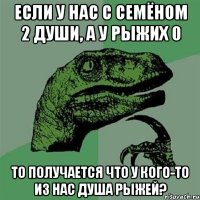 если у нас с семёном 2 души, а у рыжих 0 то получается что у кого-то из нас душа рыжей?