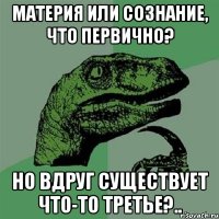 материя или сознание, что первично? но вдруг существует что-то третье?..