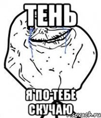 тень я по тебе скучаю
