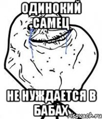 одинокий самец не нуждается в бабах