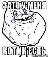 зато у меня котик есть