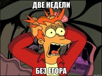 две недели без егора