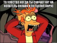 то чувство когда ты скачал чит на копатель онлайн и потцепил вирус 