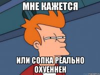 мне кажется или сопка реально охуеннен