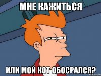 мне кажиться или мой кот обосрался?