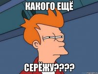 какого ещё серёжу???