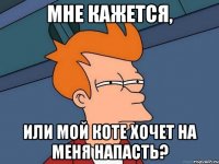 мне кажется, или мой коте хочет на меня напасть?