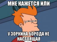 мне кажется или у зоркина борода не настоящая
