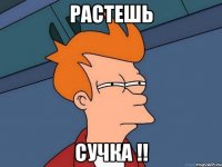 растешь сучка !!